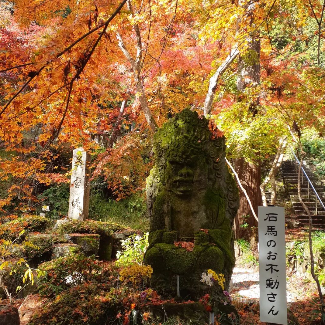 mz-k☆☆聖徳太子６枚☆☆ 聖徳太子の足跡めぐり