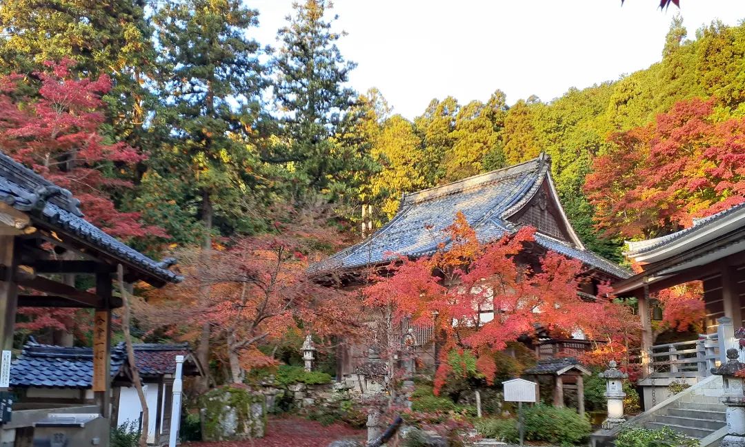 聖徳太子の足跡めぐり